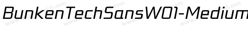 BunkenTechSansW01-Medium Regular字体转换